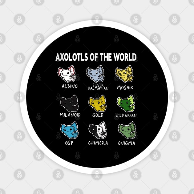 Axolotls Of The World | Types Of Axolotl Magnet by McKenna Guitar Sales